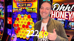 222go: Seu Cassino Premiado com Pagamentos Rápidos